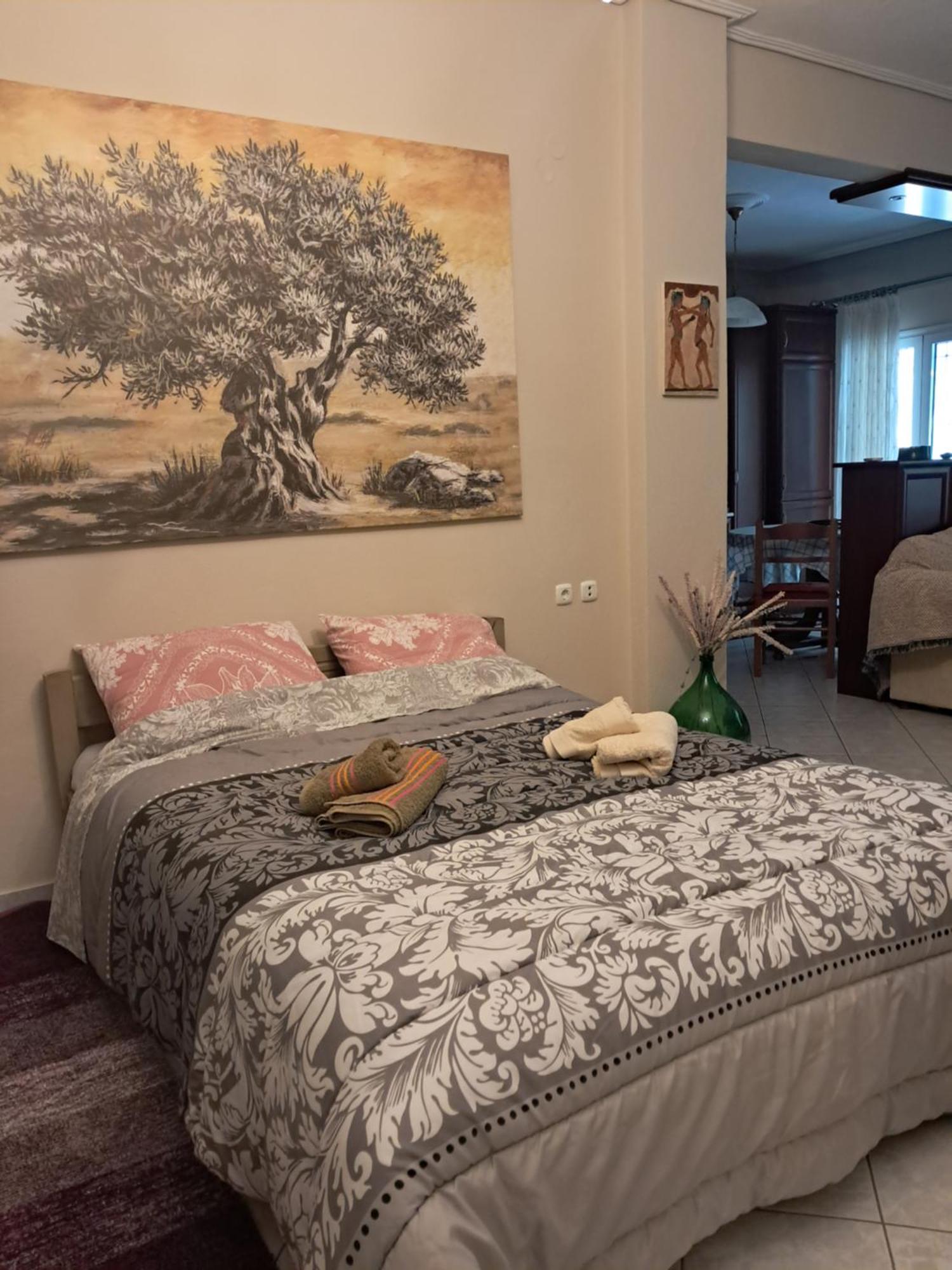 Meteora Monasteries View Apartment Kalampáka Ngoại thất bức ảnh